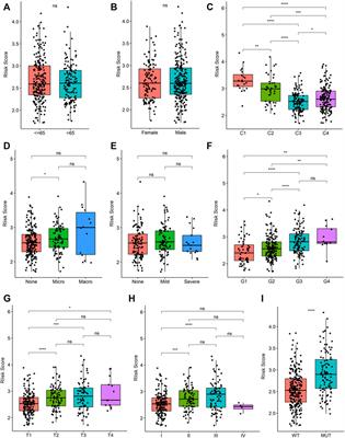 A novel pyroptosis-regulated gene signature for predicting prognosis and immunotherapy response in hepatocellular carcinoma